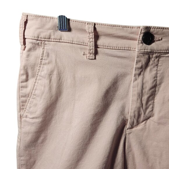 Hollister Mens Pink Flat Front Shorts W32 - Picture 4 of 7